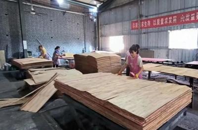 調(diào)研賦能產(chǎn)業(yè)興 牡丹區(qū)政協(xié)主席葛廣亮深入考察木材加工與家具產(chǎn)業(yè)發(fā)展